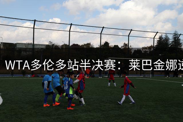 WTA多伦多站半决赛：莱巴金娜逆转晋级将战斯瓦泰克